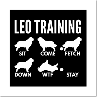 Leo Training Leonberger Tricks Posters and Art